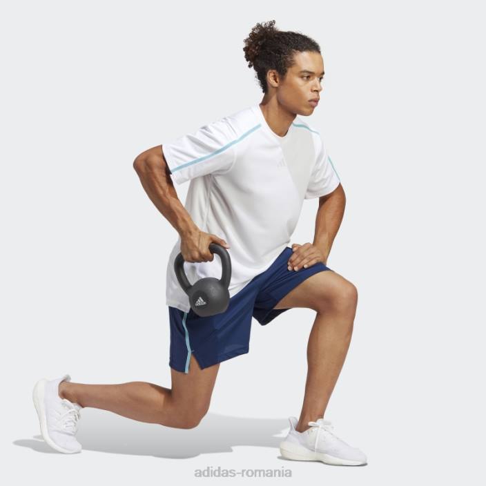 Adidas pantaloni scurți albastru de bază pentru antrenament bărbați albastru/transparent 2JBN1132