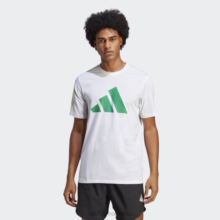 Adidas tren essentials feelready logo tricou de antrenament alb bărbați alb/verde curte 2JBN4940