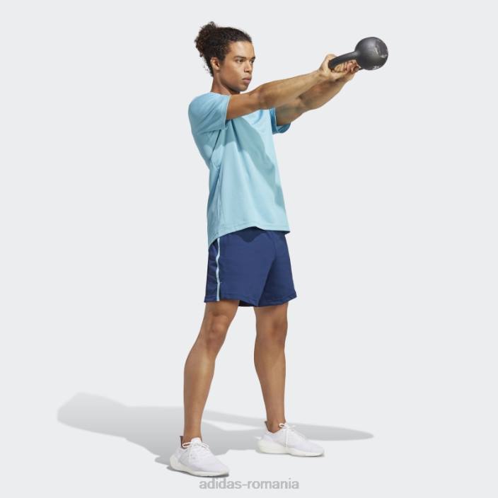 Adidas tricou cu logo de bază de antrenament albastru bărbați albastru/transparent 2JBN13718
