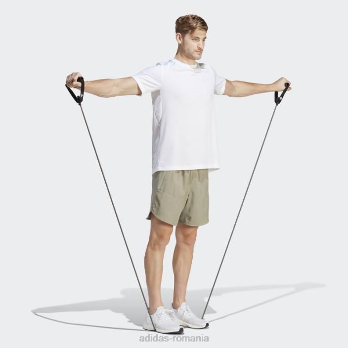 Adidas tricou cu sigla baza antrenamentului alb bărbați alb/transparent 2JBN14510