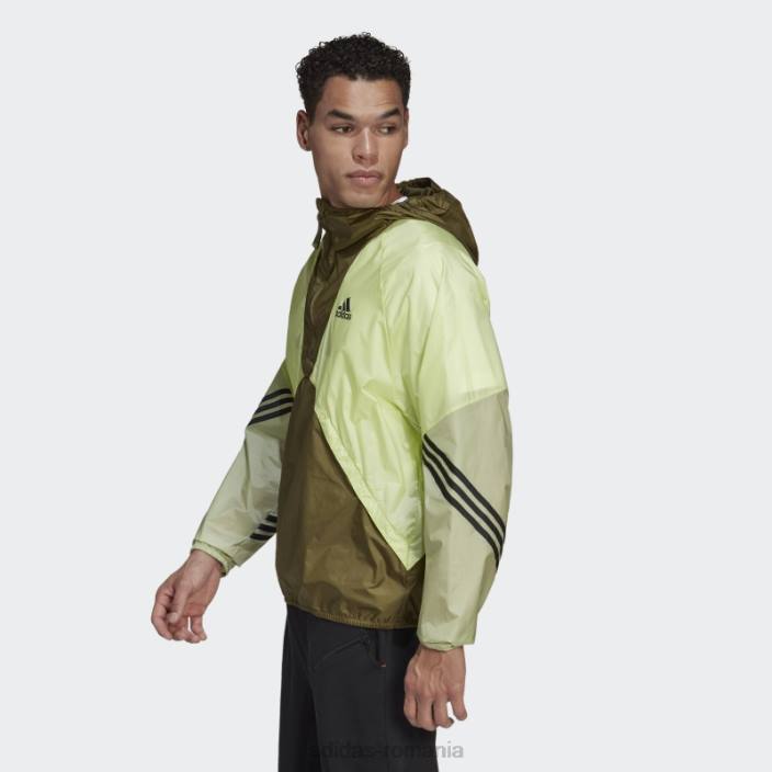 Adidas olive înapoi la sport wind.rdy anorac bărbați măsline 2JBN15118
