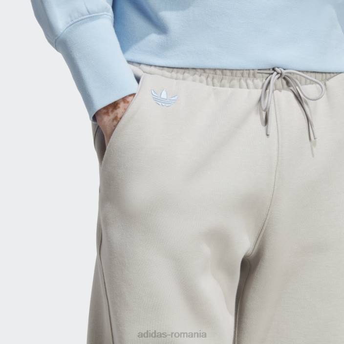 Adidas pantaloni de trening adicolor neuclassics gri bărbați gri/cer 2JBN13949