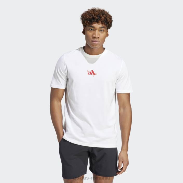 Adidas aeroready tenis roland garros tricou grafic alb bărbați alb 2JBN14504