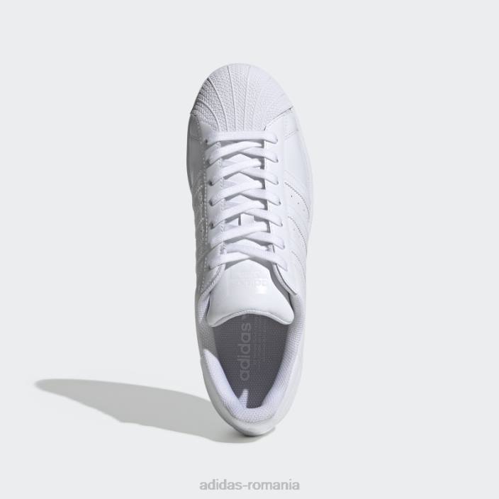 Adidas pantofi albi superstar adidas bărbați alb 2JBN14