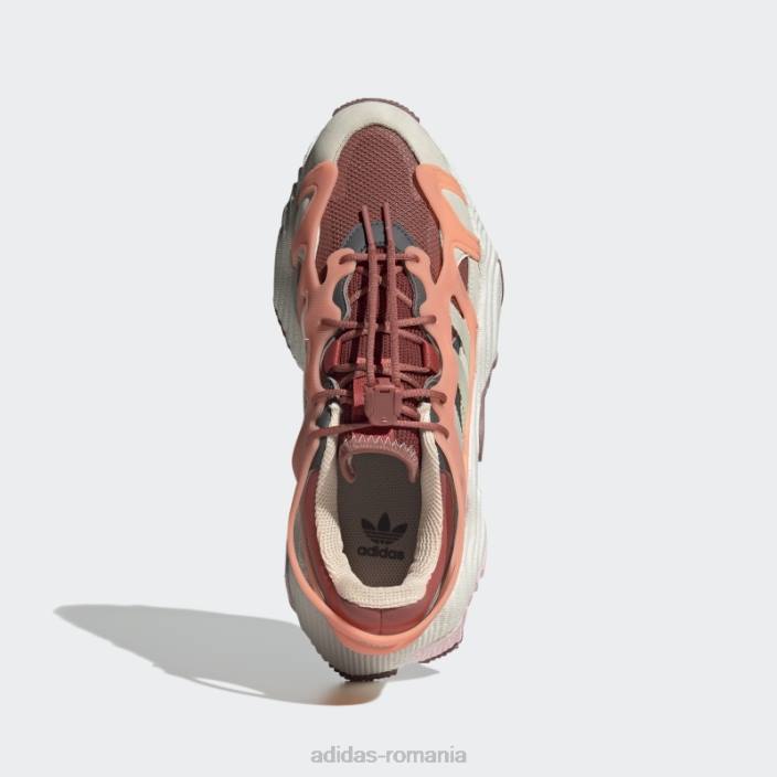 Adidas pantofi de aventură Earth Roverend bărbați pământ/alb/sepia 2JBN5957