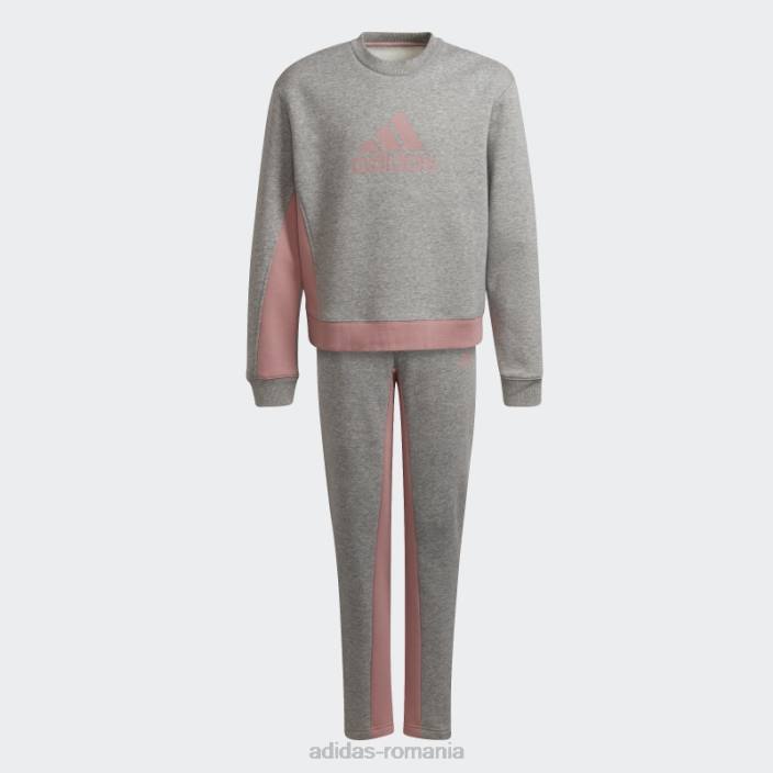 Adidas insigna de trening sport bumbac gri mediu copii gri mediu/mov 2JBN19268