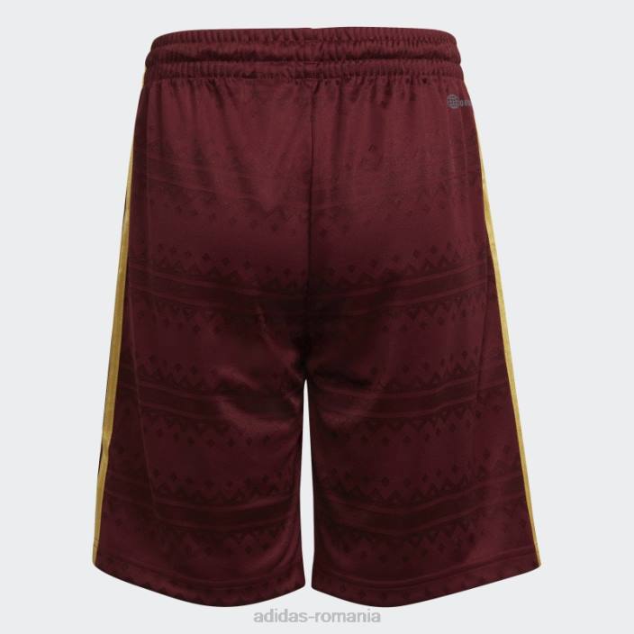 Adidas pantaloni scurți salah roșii copii roșu/auriu metalic 2JBN18962