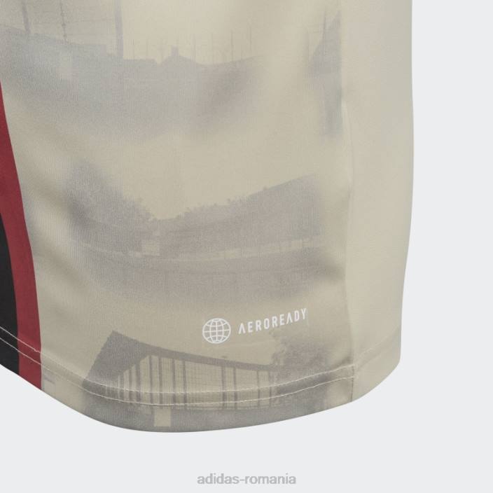 Adidas ajax amsterdam x daily paper 22/23 tricou alb copii savana/alb 2JBN18625