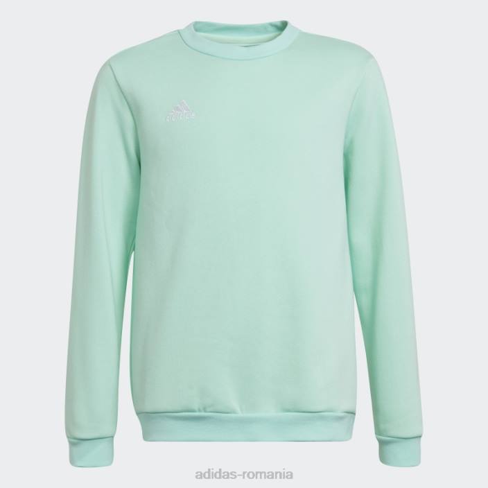 Adidas entrada 22 hanorac mint copii mentă 2JBN19064