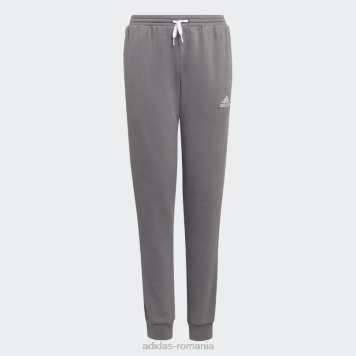 Adidas entrada 22 pantaloni de trening transpirație gri adidas copii gri 2JBN18648