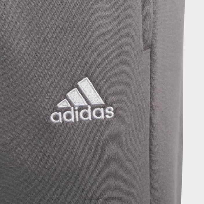 Adidas entrada 22 pantaloni de trening transpirație gri adidas copii gri 2JBN18648