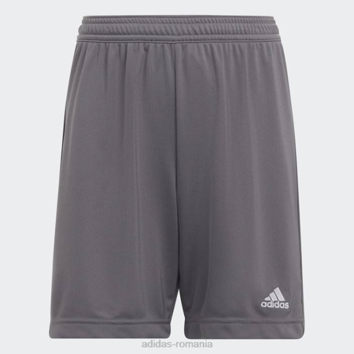Adidas grey entrada 22 pantaloni scurți copii gri 2JBN18317