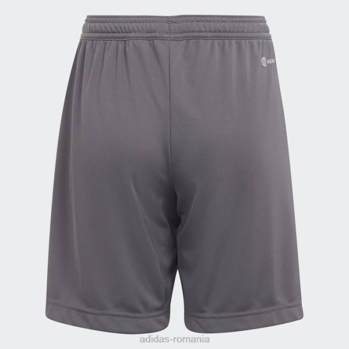 Adidas grey entrada 22 pantaloni scurți copii gri 2JBN18317