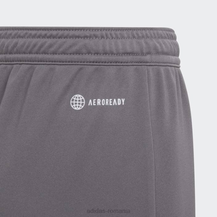 Adidas grey entrada 22 pantaloni scurți copii gri 2JBN18317