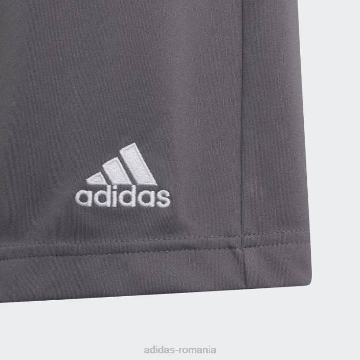 Adidas grey entrada 22 pantaloni scurți copii gri 2JBN18317