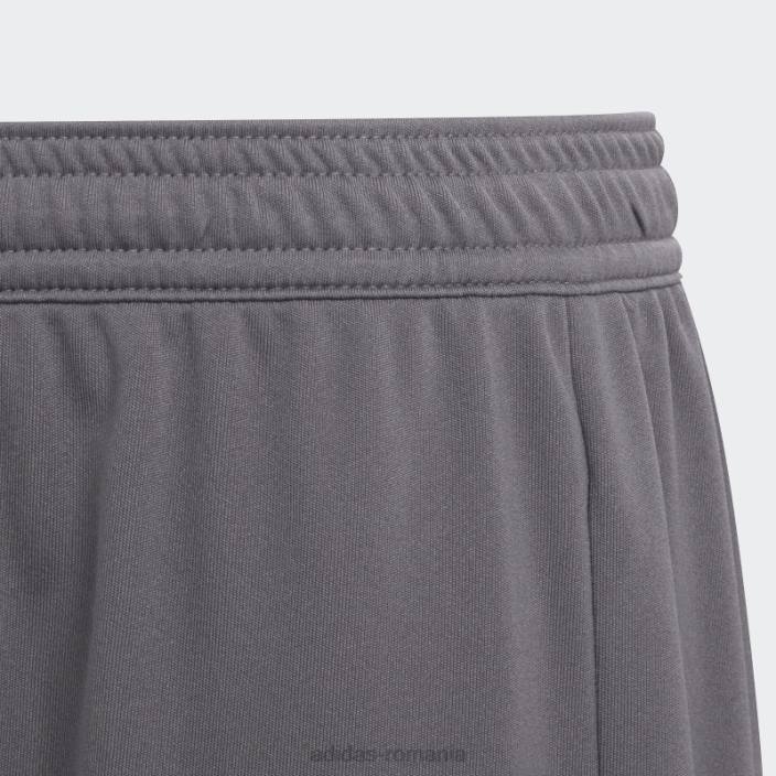 Adidas grey entrada 22 pantaloni scurți copii gri 2JBN18317