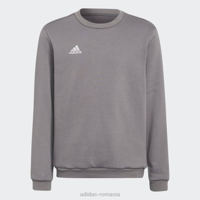 Adidas hanorac gri entrada 22 adidas copii gri 2JBN18537