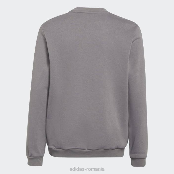 Adidas hanorac gri entrada 22 adidas copii gri 2JBN18537