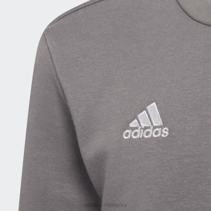 Adidas hanorac gri entrada 22 adidas copii gri 2JBN18537