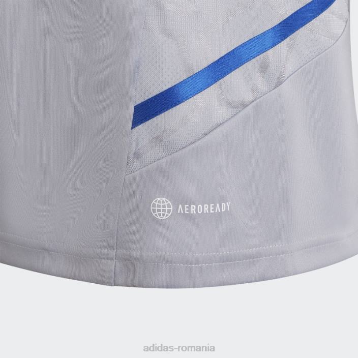 Adidas olympique lyonnais condivo 22 tricou de antrenament argintiu fierbinte copii argint 2JBN18774
