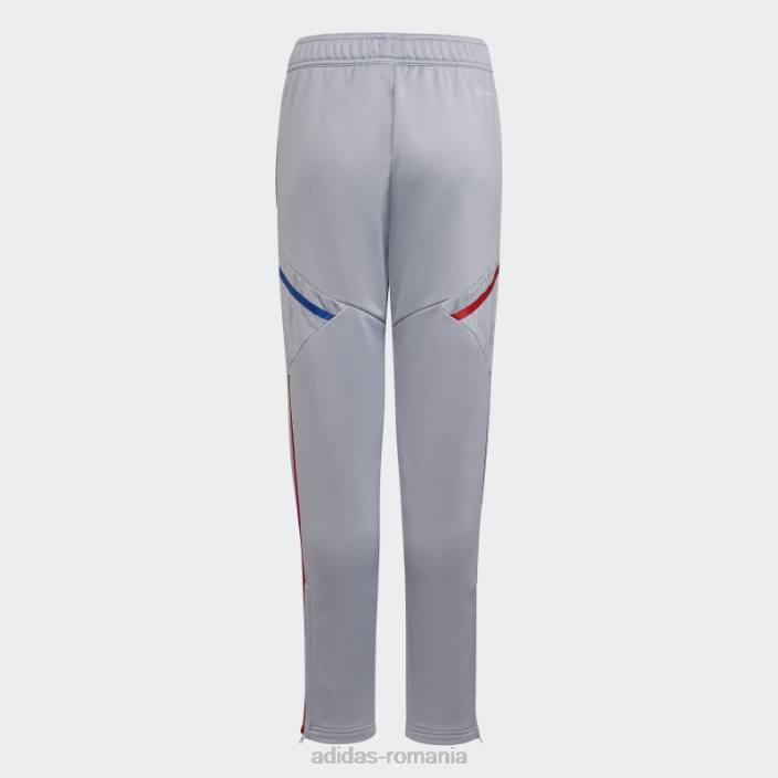 Adidas olympique lyonnais tiro 21 pantaloni de antrenament argintiu copii argint 2JBN18788