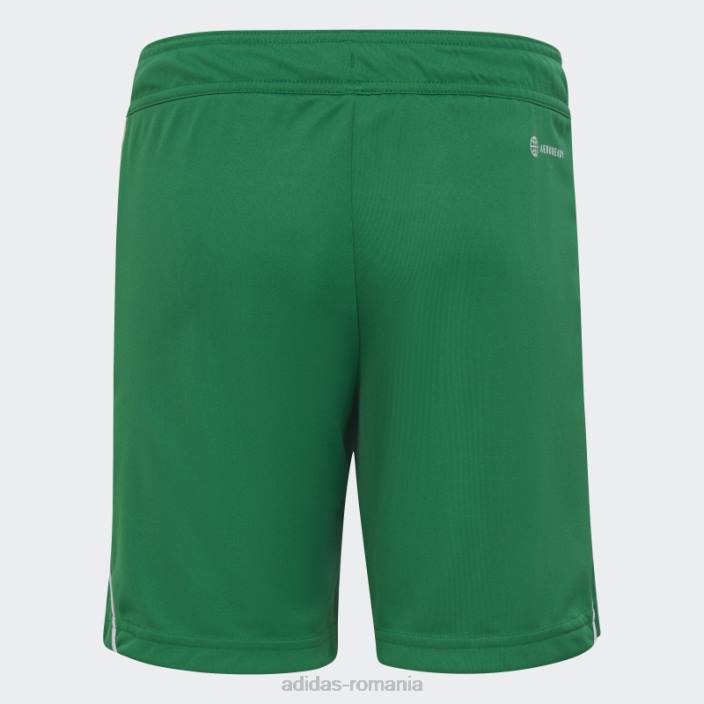 Adidas pantaloni scurți adidas din liga tiro 23 verzi copii verde/alb 2JBN18651