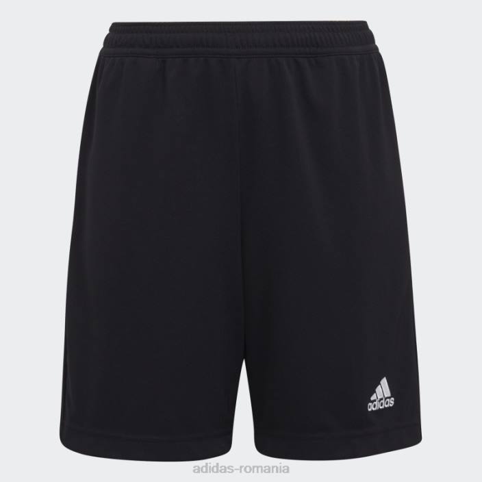 Adidas pantaloni scurți de antrenament entrada 22 negru adidas copii negru 2JBN18414