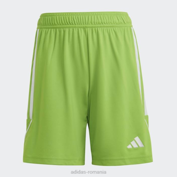 Adidas sol green2 tiro 23 league pantaloni scurți adidas copii sol verde2/alb 2JBN19053