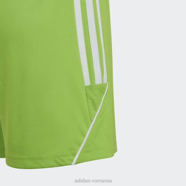Adidas sol green2 tiro 23 league pantaloni scurți adidas copii sol verde2/alb 2JBN19053
