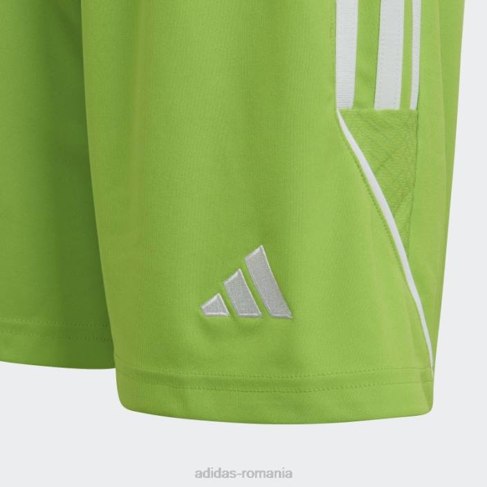 Adidas sol green2 tiro 23 league pantaloni scurți adidas copii sol verde2/alb 2JBN19053