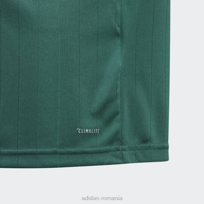 Adidas tabela 18 tricou verde adidas copii verde/alb 2JBN19098