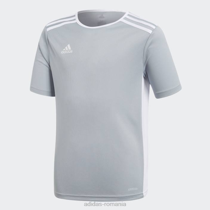 Adidas tricou de intrare gri deschis adidas copii gri deschis/alb 2JBN11871
