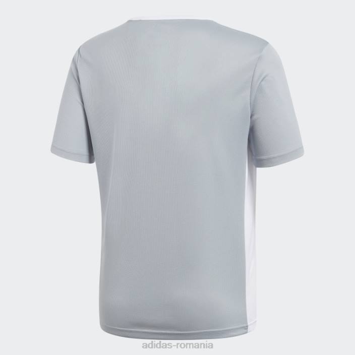 Adidas tricou de intrare gri deschis adidas copii gri deschis/alb 2JBN11871