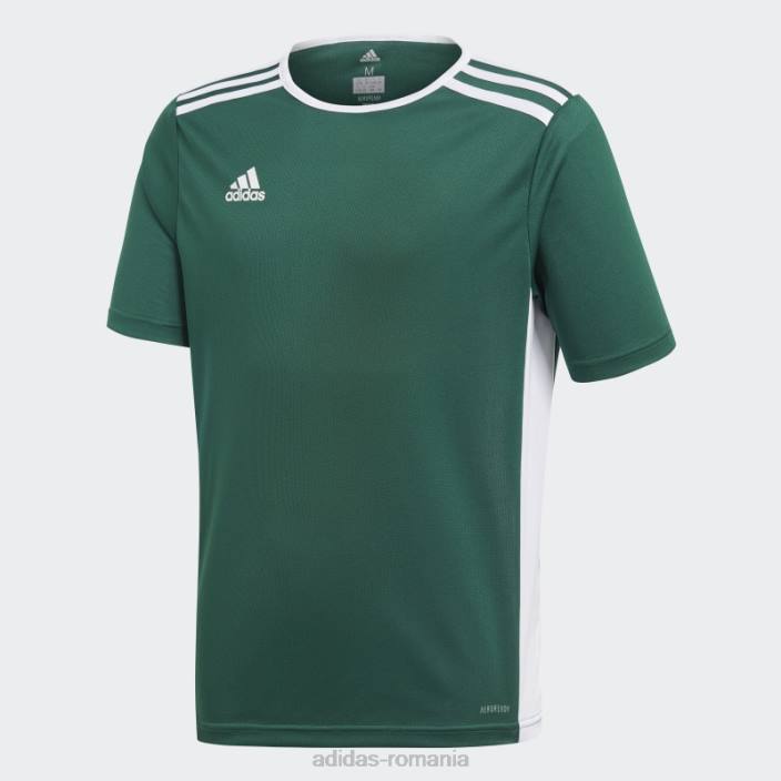 Adidas tricou verde de intrare copii verde/alb 2JBN11746