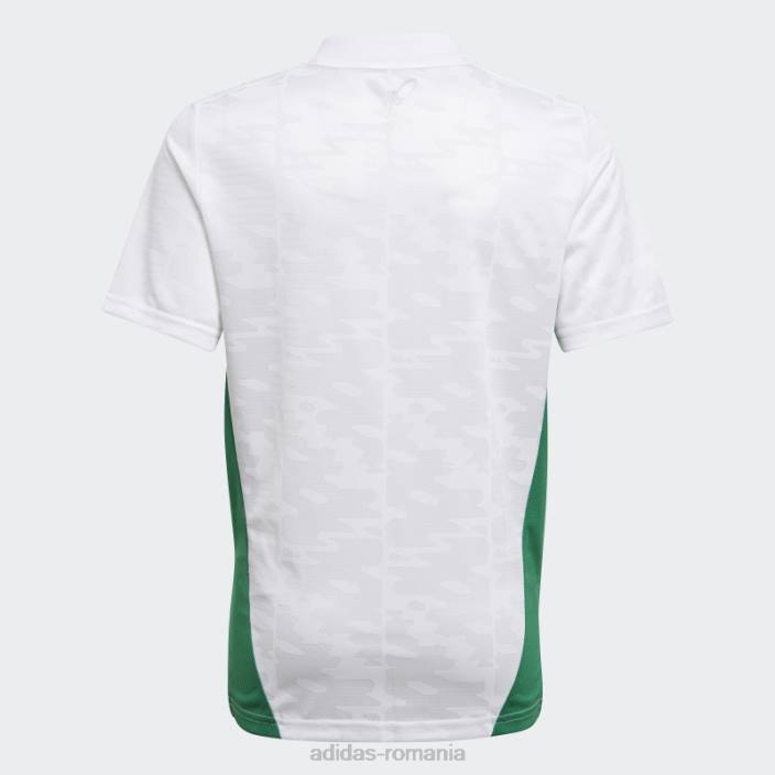 Adidas tricoul alb algerii 20/21 acasă copii alb 2JBN19012