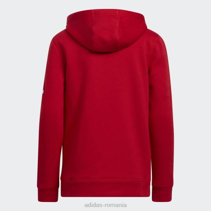 Adidas hanorac fleece roșu copii roșu 2JBN12032