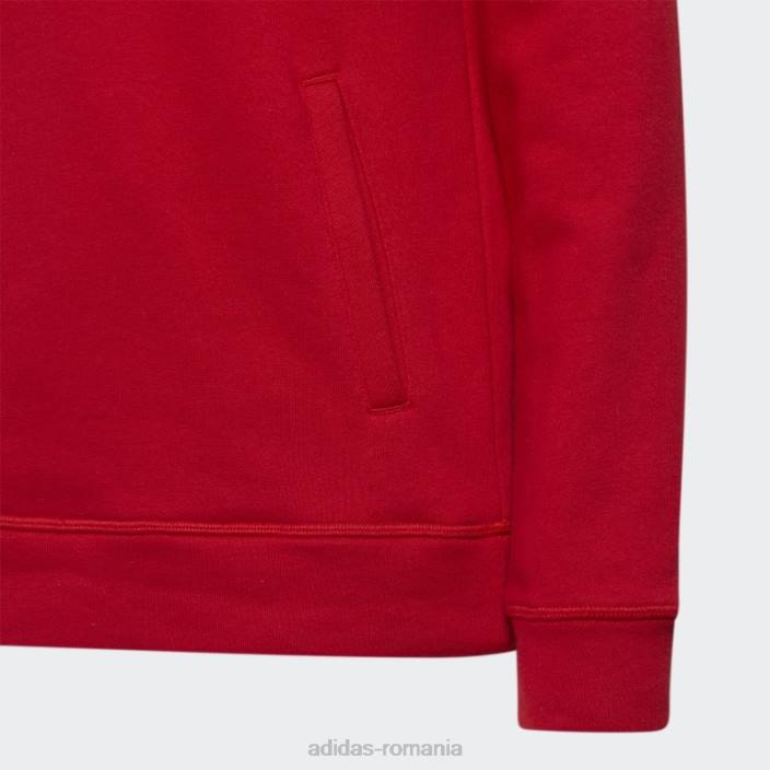 Adidas hanorac fleece roșu copii roșu 2JBN12032