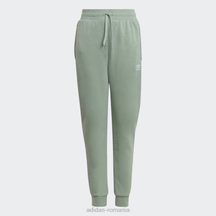Adidas pantaloni de jogging adicolor verde argintiu copii verde argintiu 2JBN18341