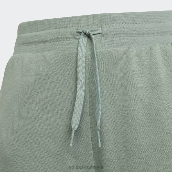 Adidas pantaloni de jogging adicolor verde argintiu copii verde argintiu 2JBN18341
