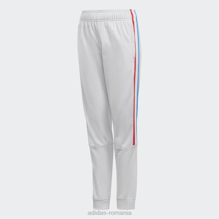 Adidas pantaloni de trening adicolor dash gri copii liniuță gri 2JBN19036