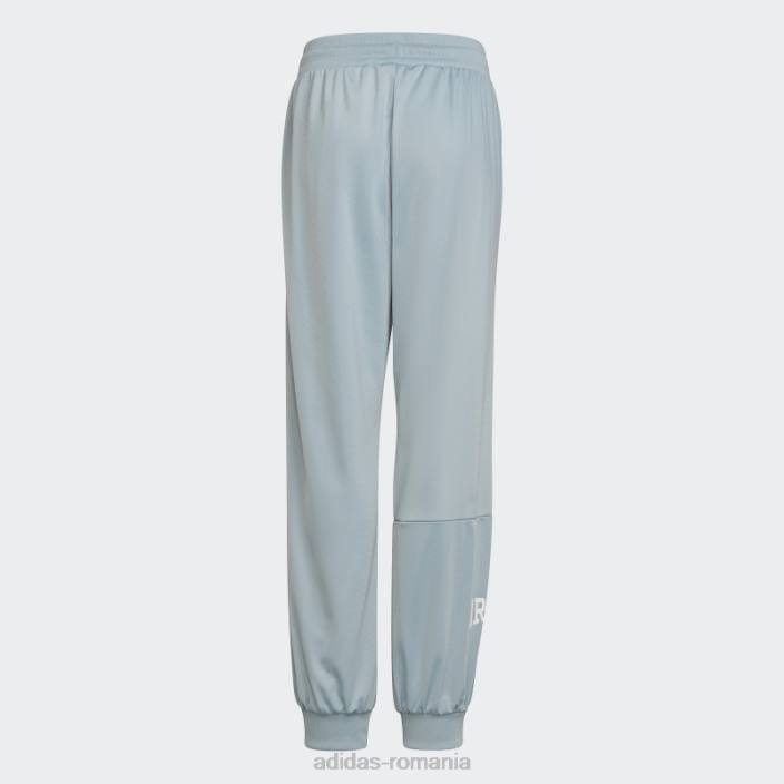 Adidas pantaloni de trening gri cu imprimeu grafic copii gri 2JBN19084