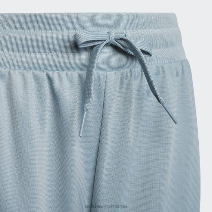 Adidas pantaloni de trening gri cu imprimeu grafic copii gri 2JBN19084