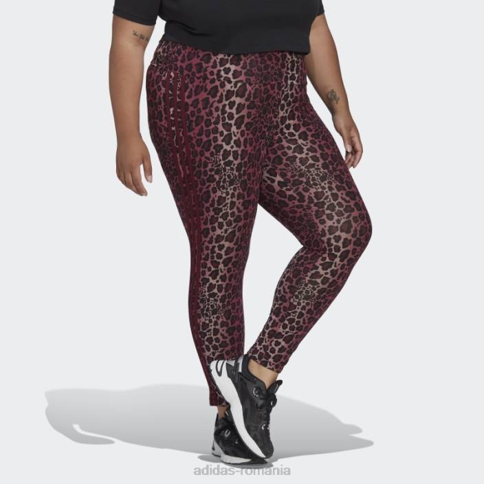 Adidas jambiere maro 7/8 (plus mărime) femei maro/multicolor 2JBN23249