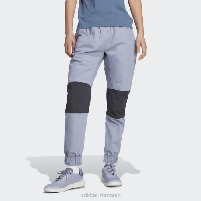 Adidas five ten felsblock climb pantaloni argintiu violet adidas femei violet argintiu/negru 2JBN17028
