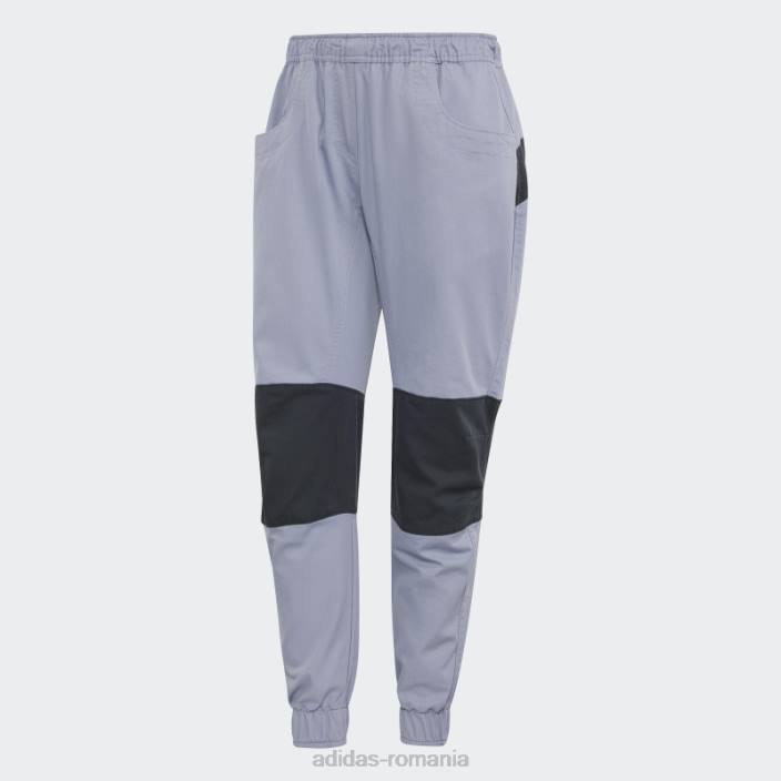 Adidas five ten felsblock climb pantaloni argintiu violet adidas femei violet argintiu/negru 2JBN17028