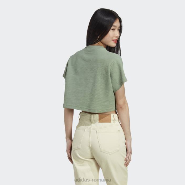 Adidas crop top cu buclă de lounge verde argintiu femei verde argintiu 2JBN9530