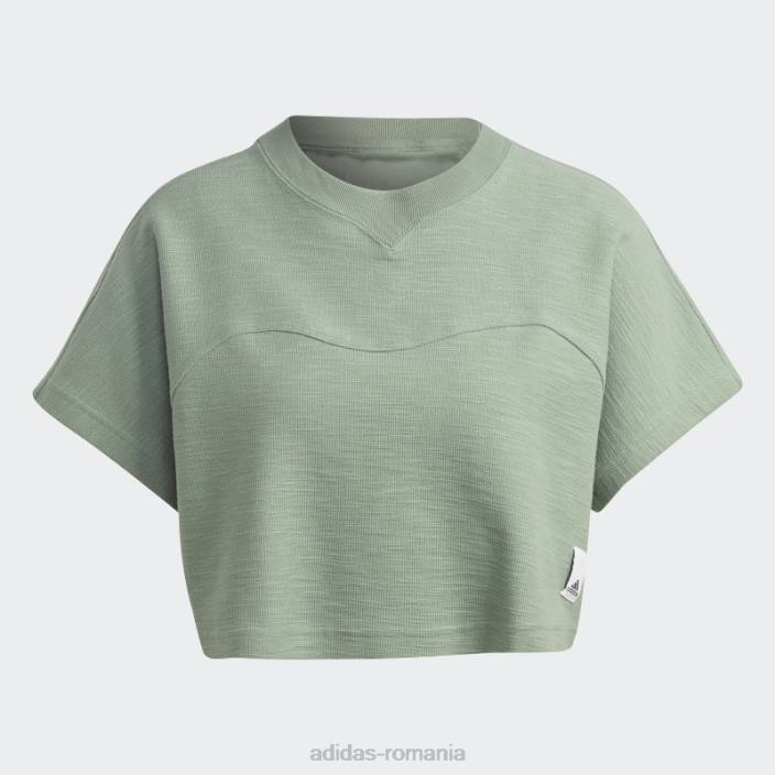 Adidas crop top cu buclă de lounge verde argintiu femei verde argintiu 2JBN9530