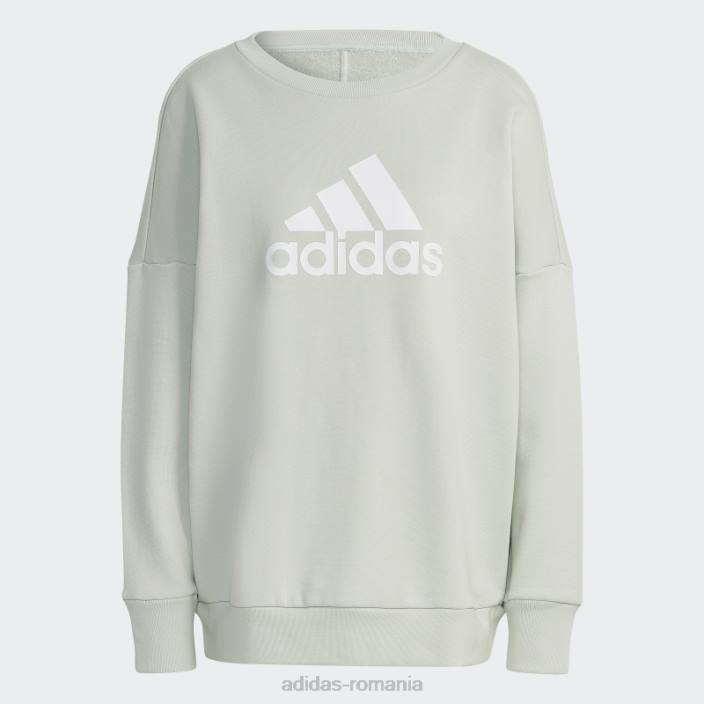 Adidas insigna verde cu icoane viitoare ale hanoracului sport femei verde 2JBN9268