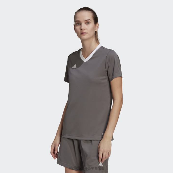 Adidas entrada 22 tricou gri femei gri 2JBN16945