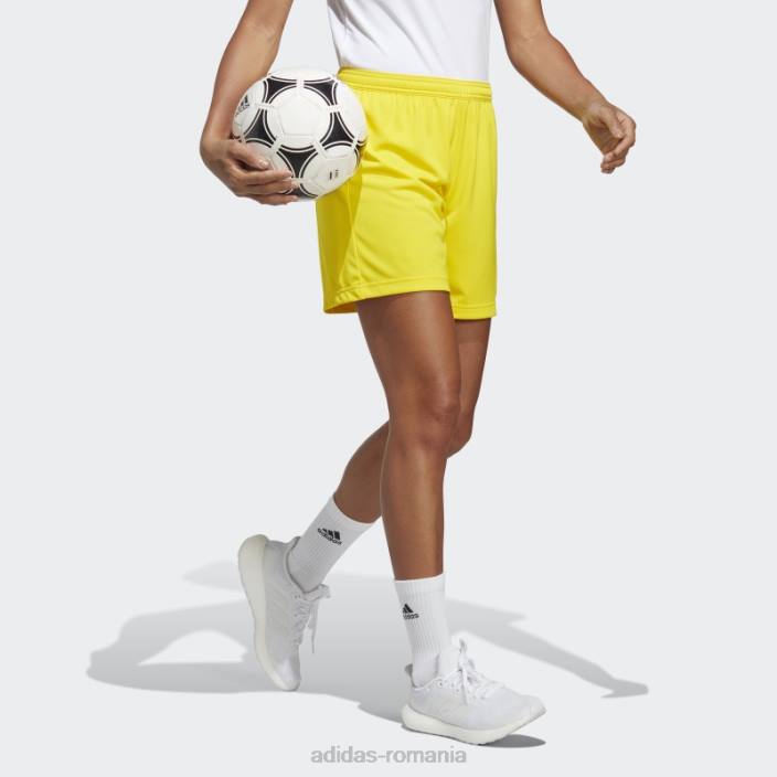 Adidas galben intrare 22 pantaloni scurți femei galben 2JBN17134